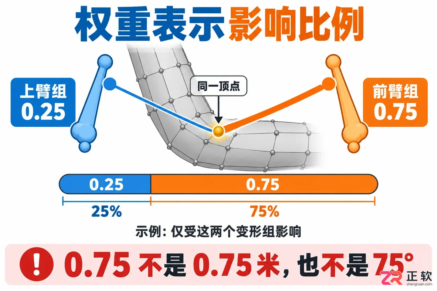blender权重是什么及其在骨骼绑定中的作用详解