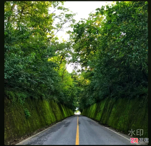 Luminar Neo批量加水印与天空替换操作指南