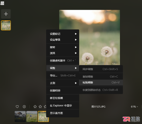 Luminar Neo批量修图操作指南:预设应用与调整复制技巧
