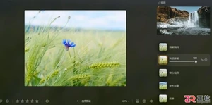 Luminar Neo批量修图操作指南：预设应用与调整复制技巧