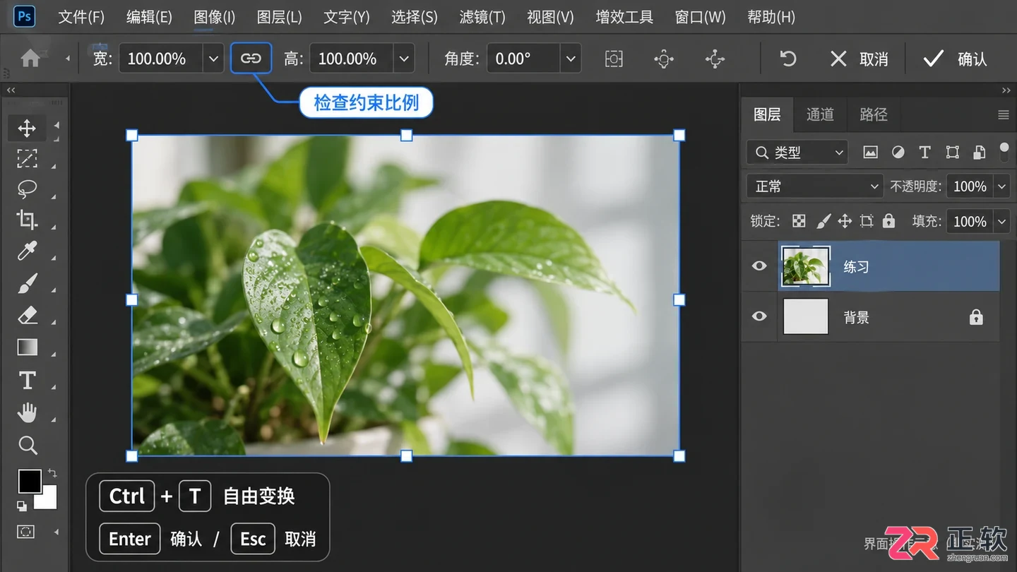 PS操作快捷键大全有哪些