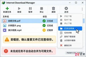 internet download manager软件能不能卸载