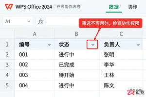 WPSOffice2024在线协作表格开启多人筛选权限设置