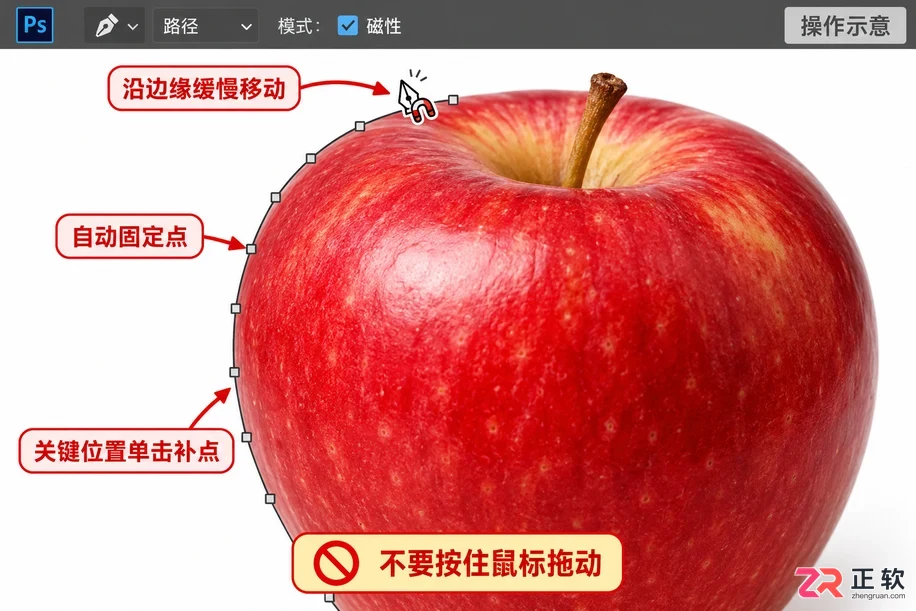 如何用Photoshop磁性钢笔工具快速勾勒轮廓