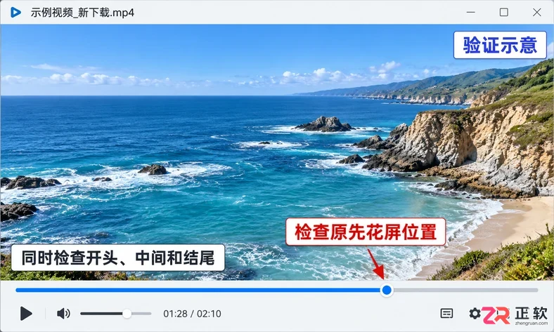 internetdownloadmanager下载的视频花屏