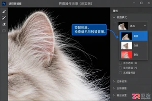 Photoshop抠动物毛发怎么处理边缘细节