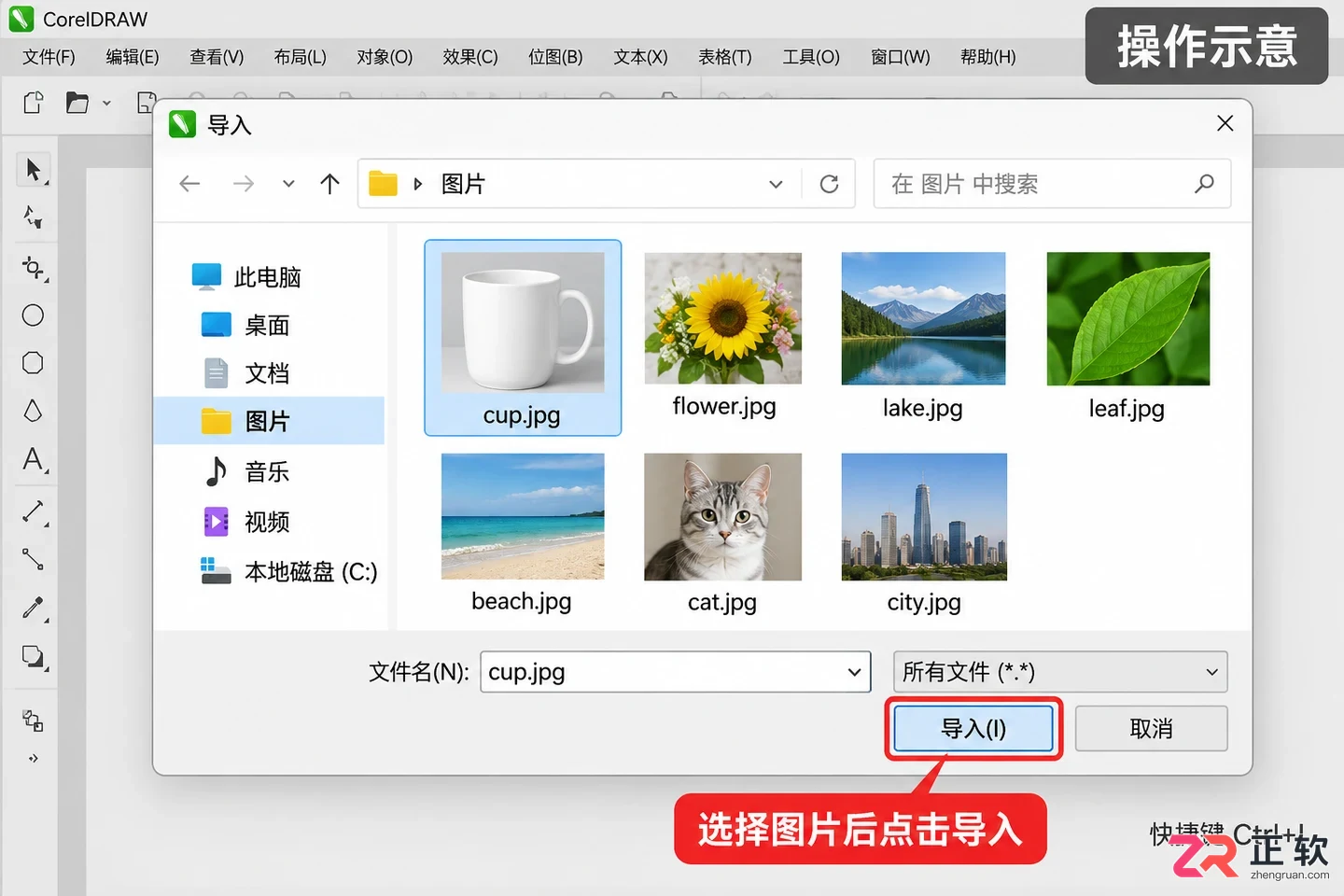 coreldraw怎么插入图片 图片导入步骤