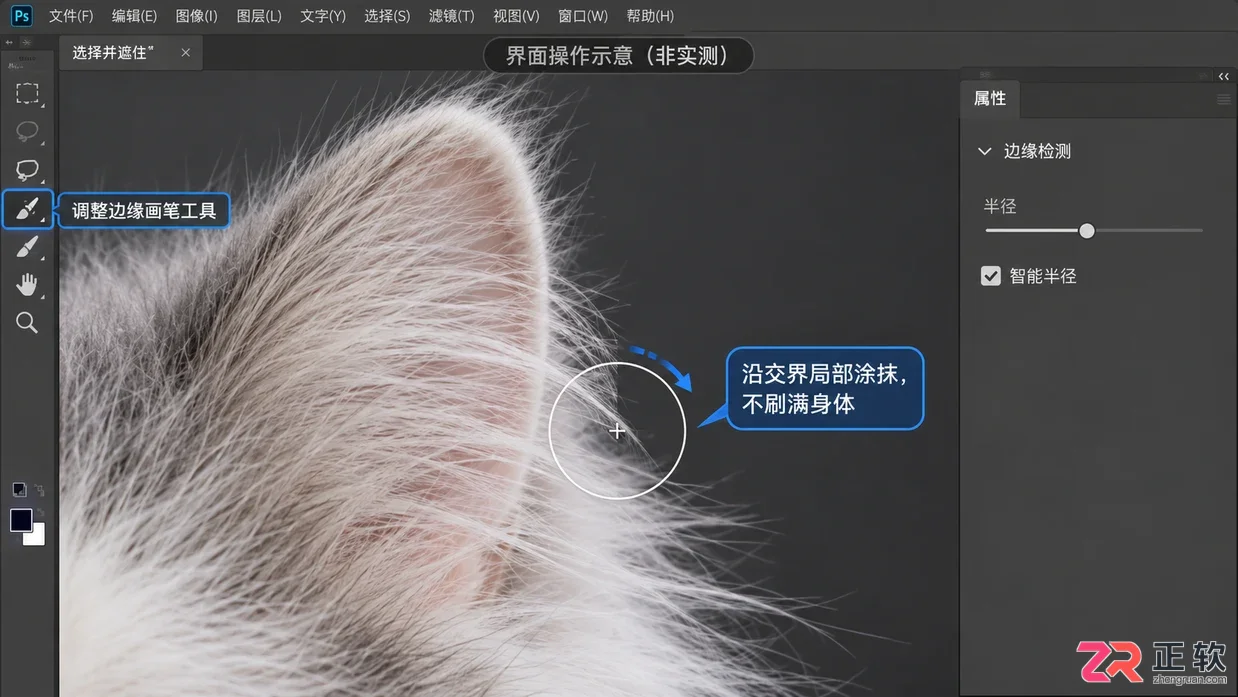 Photoshop抠动物毛发怎么处理边缘细节