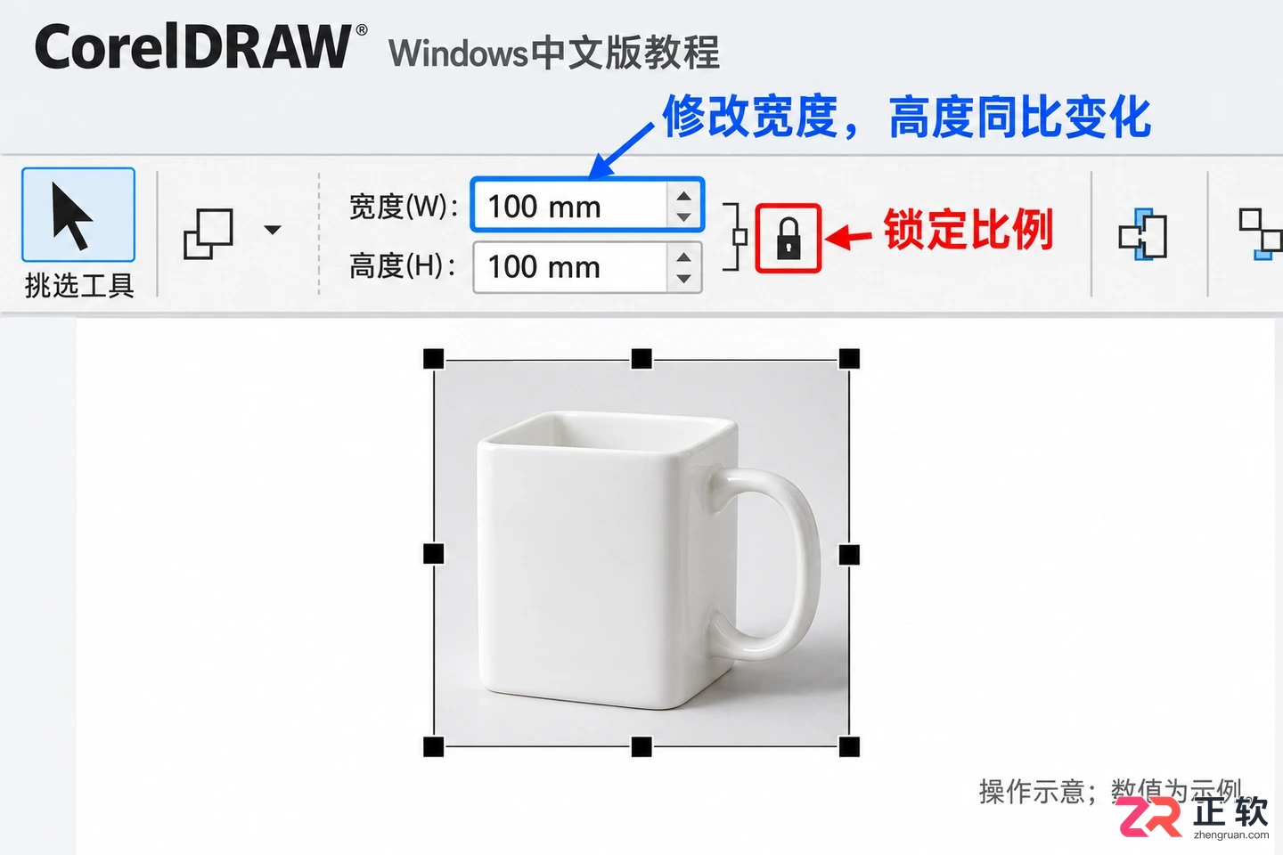 coreldraw怎么插入图片 图片导入步骤