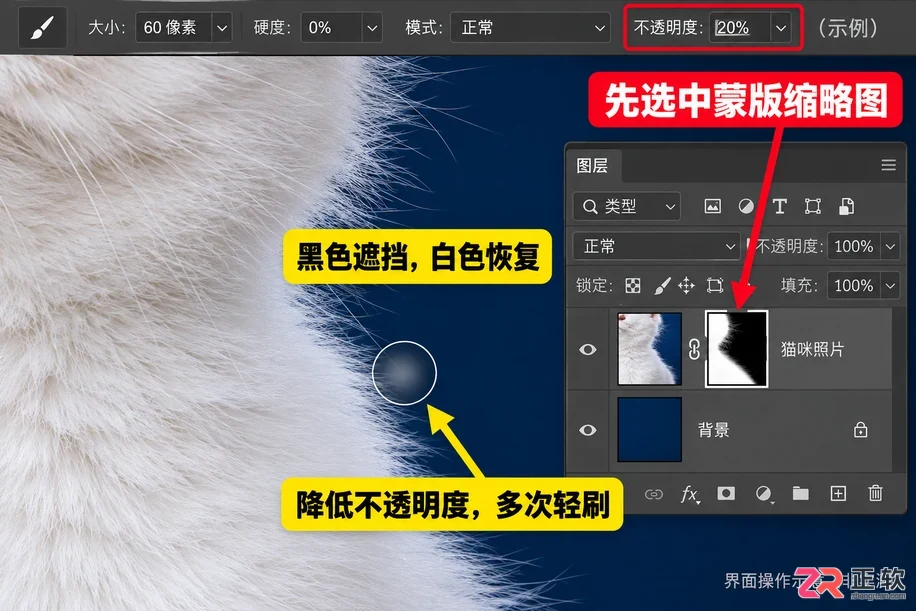 Photoshop抠动物毛发怎么处理边缘细节