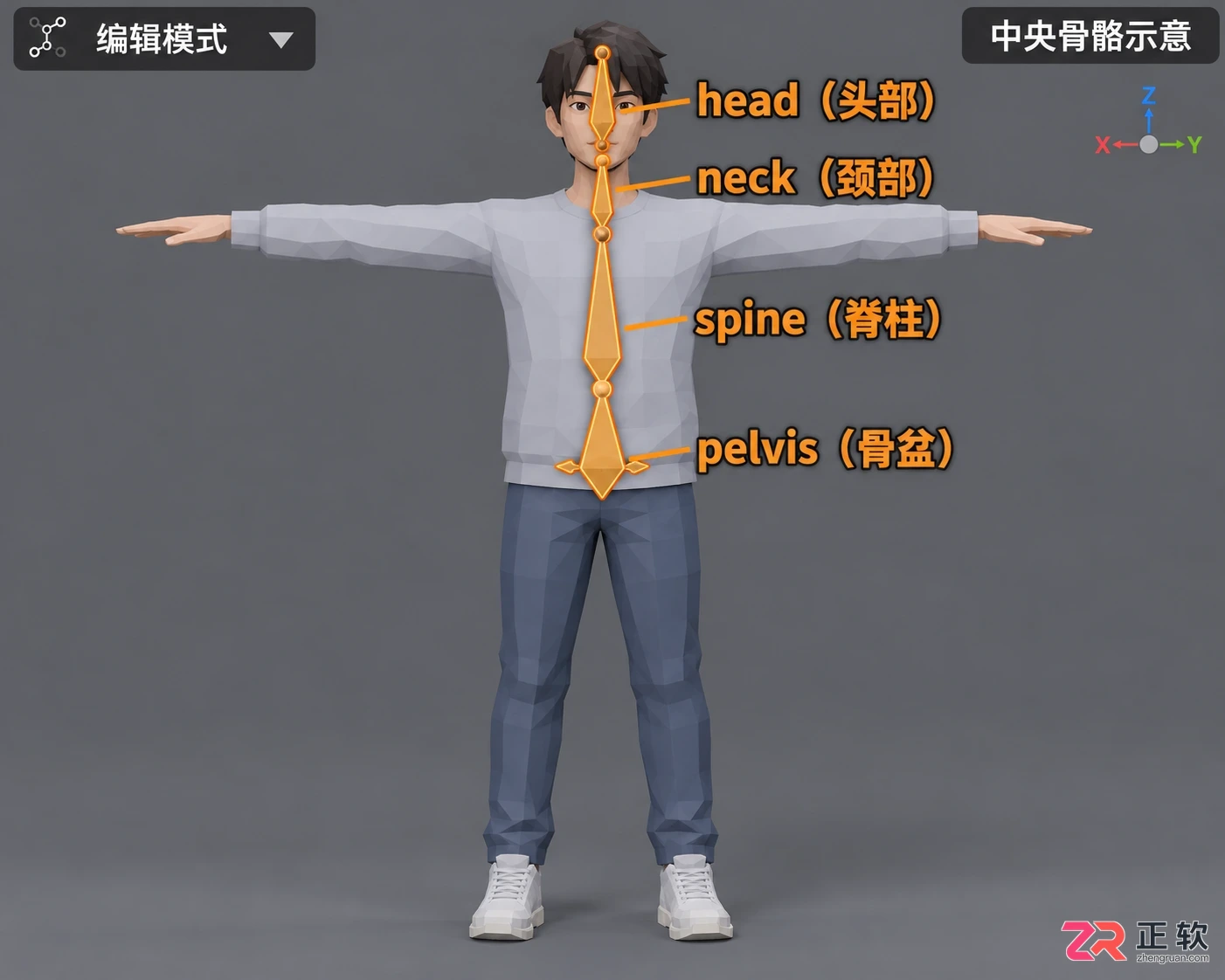 blender人物动画制作教程从绑定到行走完整流程