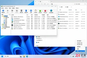 internet download manager怎么删除软件