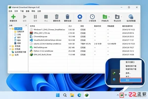internet download manager怎么卸载