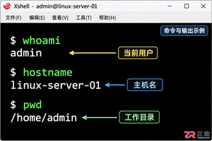 xshell命令大全 常用Linux命令汇总