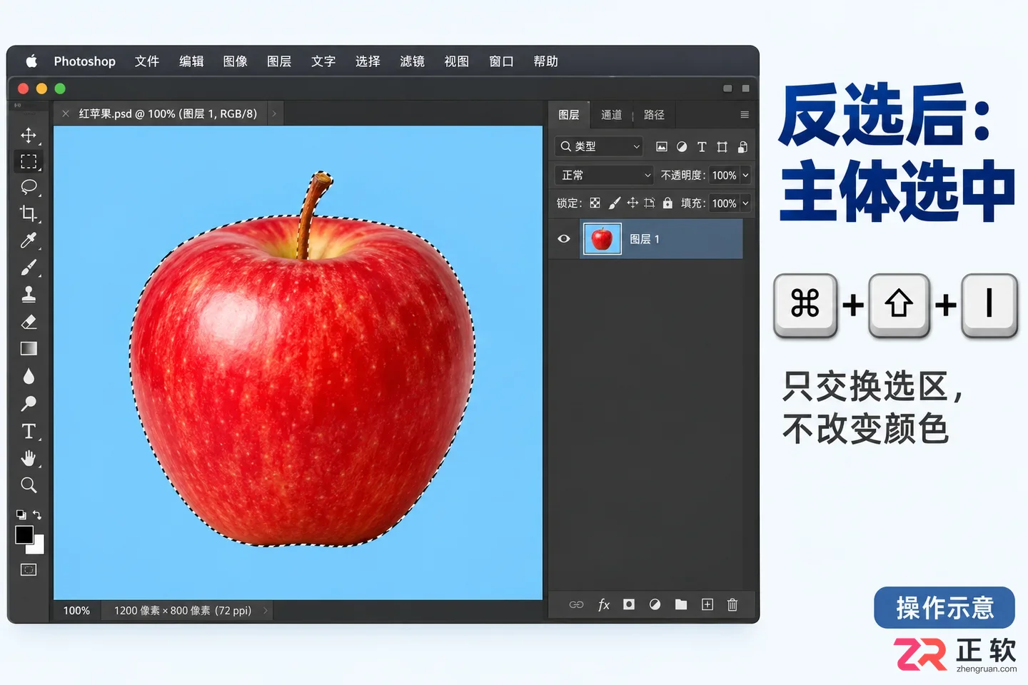 PS反选快捷键在Mac上是什么