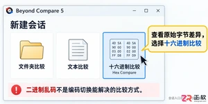 beyond compare怎么比较二进制文件