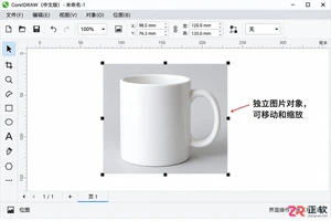 CorelDRAW怎么导入图片:选择文件并置入画布的详细步骤