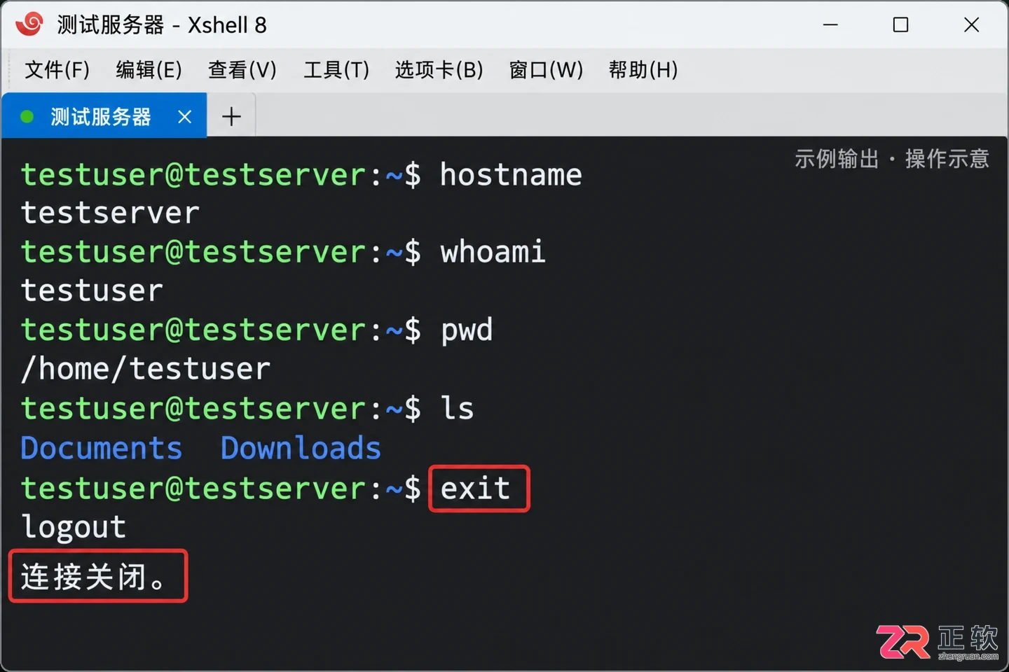 Xshell 8 连接 Linux 服务器入门:新建会话、身份验证与基础命令实操