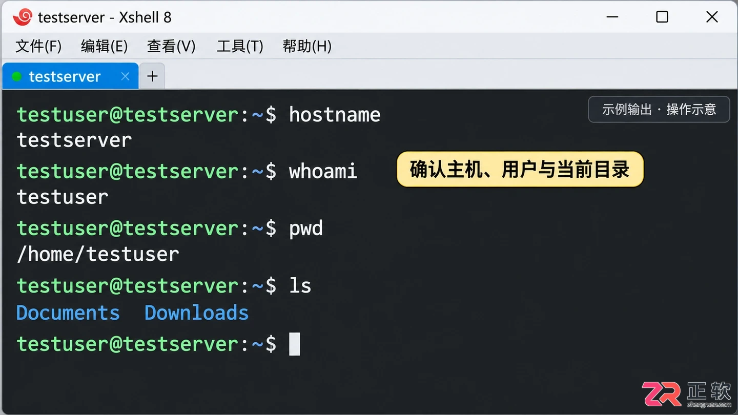 Xshell 8 连接 Linux 服务器入门:新建会话、身份验证与基础命令实操