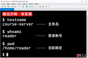 Xshell显示服务器文件：命令行ls与文件管理器面板实操