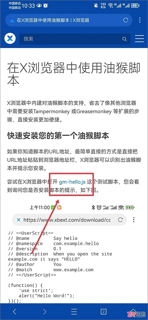 X浏览器国际版功能详解与油猴脚本配置指南