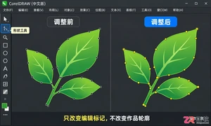 CorelDRAW节点显示设置:调整大小形状与颜色让编辑更清晰