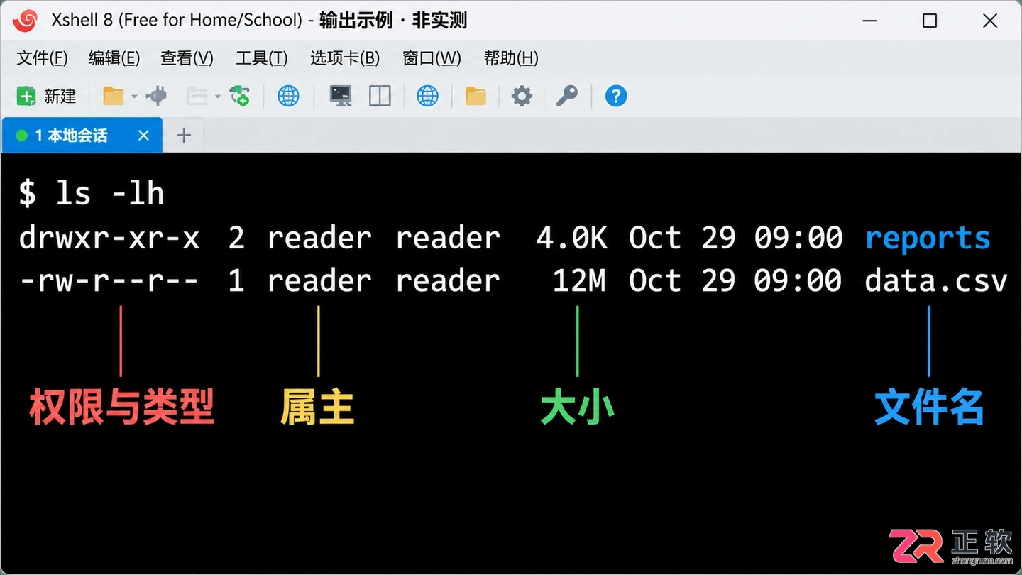 Xshell显示服务器文件：命令行ls与文件管理器面板实操
