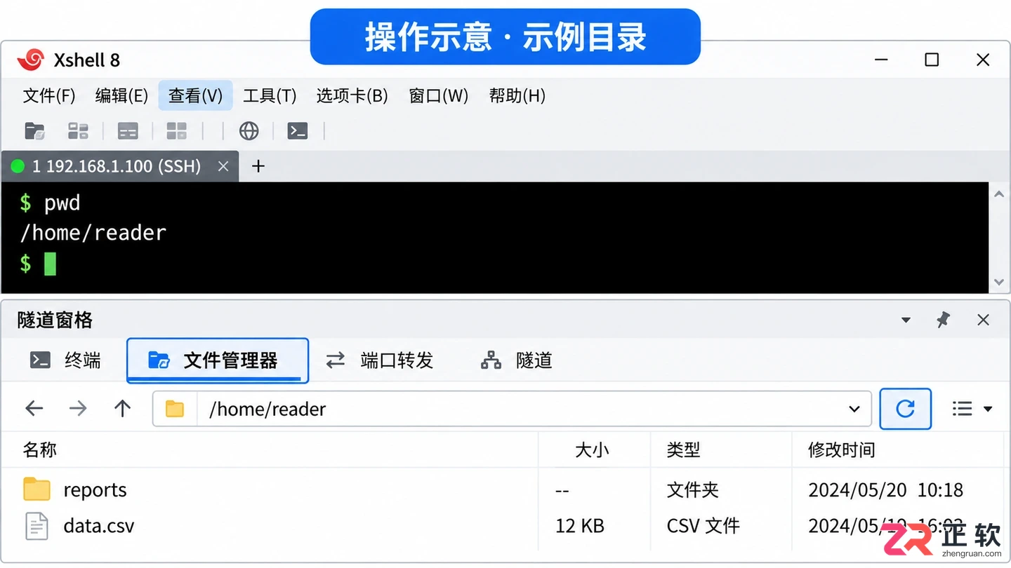 Xshell显示服务器文件：命令行ls与文件管理器面板实操