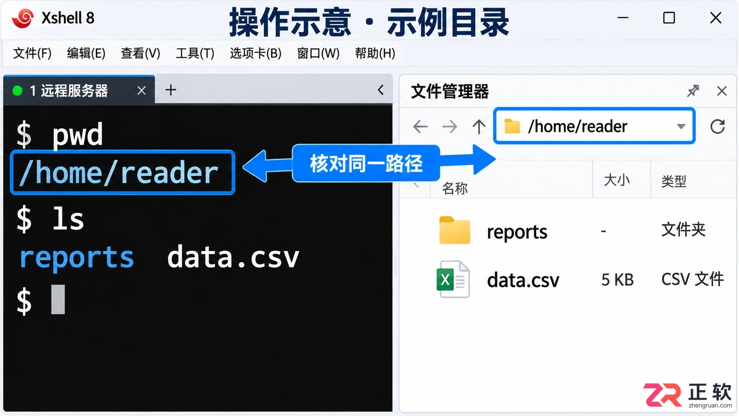 Xshell显示服务器文件：命令行ls与文件管理器面板实操