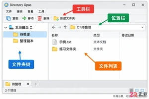 directory opus教程文件管理基础操作详解