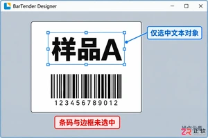 BarTender对象旋转与镜像设置教程:如何翻转文字和图片
