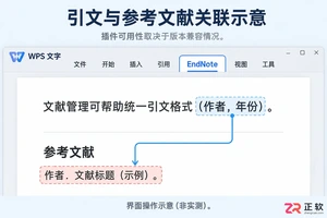 EndNote 与 WPS 文字关联设置指南:检查加载项与验证引用