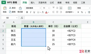 WPS 表格怎么设置单元格只读权限