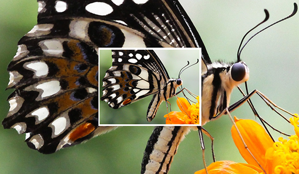 PhotoZoom Pro功能和系统要求简介