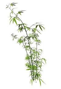 小图片高质量无损放大,不失真不模糊