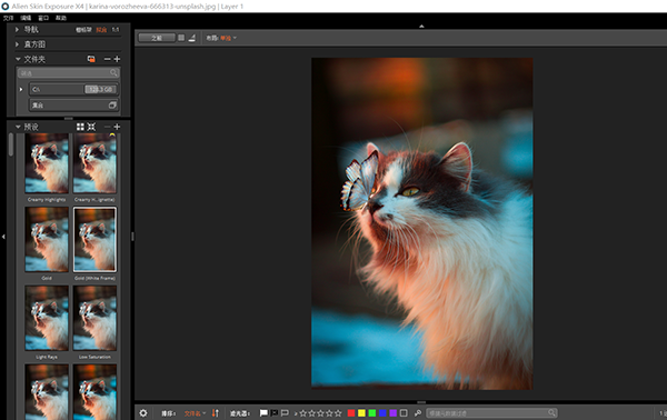 Exposure X4 Exposure激活码