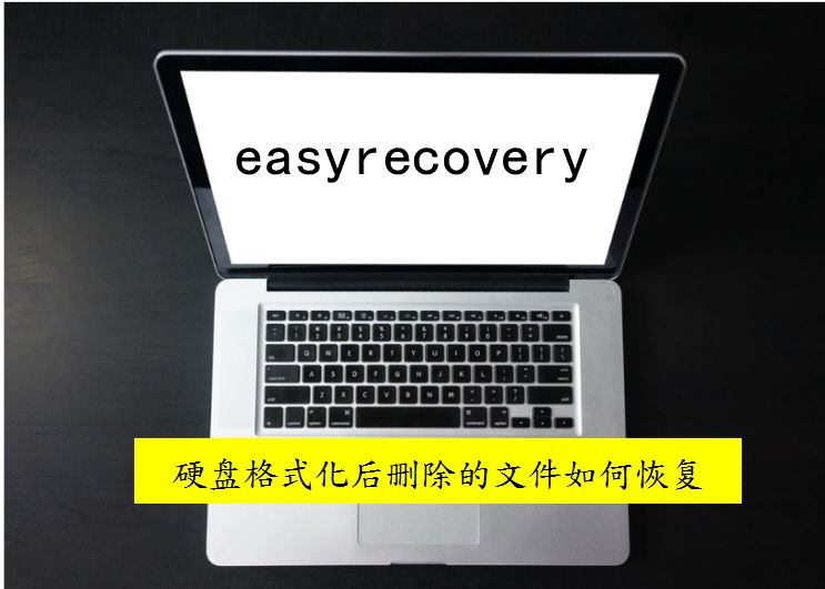 EasyRecovery硬盘格式化后删除的文件恢复方法教程