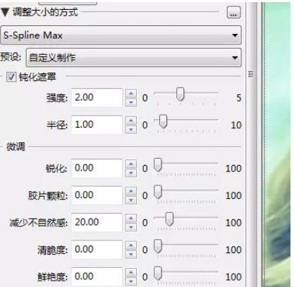 PhotoZoom处理图片杂色和不自然感的方法