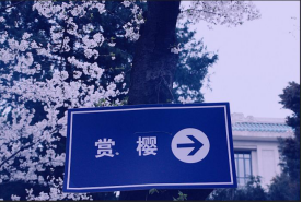 如何使用exposure x5软件的细节调色功能?