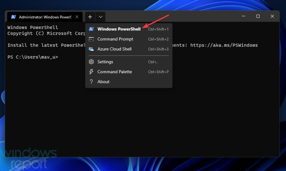 如何修复 0x80073CFB Microsoft Store Windows 11 错误