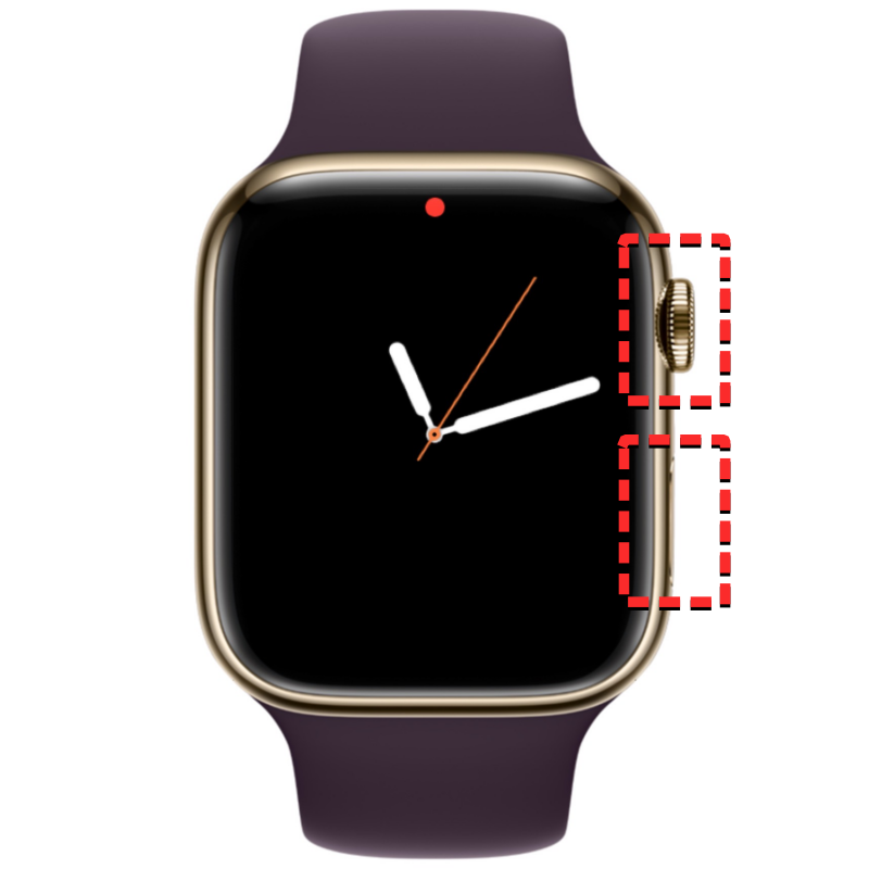 联系人未同步到 Apple Watch？怎么修