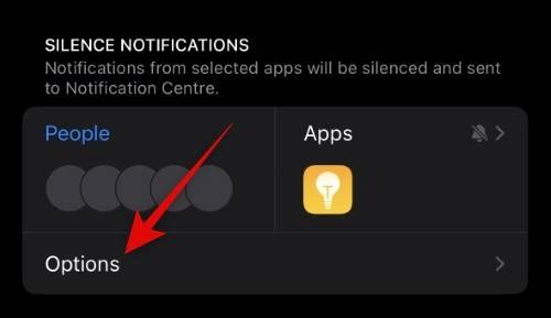 如何调整 iPhone 14 Pro 常亮显示的亮度?