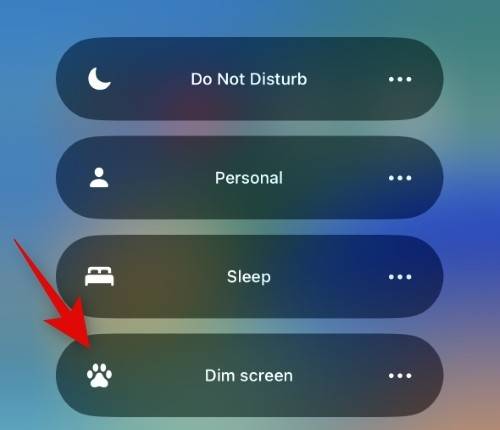 如何调整 iPhone 14 Pro 常亮显示的亮度?