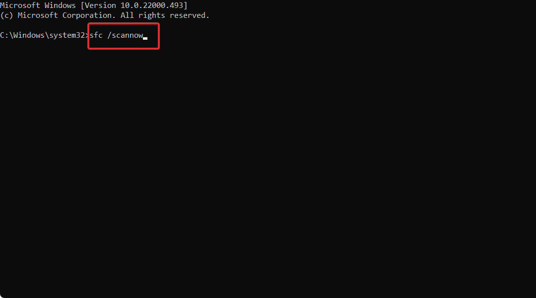 如何通过指针修复 Windows 11 错误引用