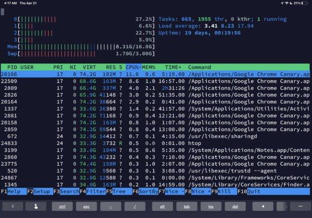如何从 iPad SSH 到 Mac