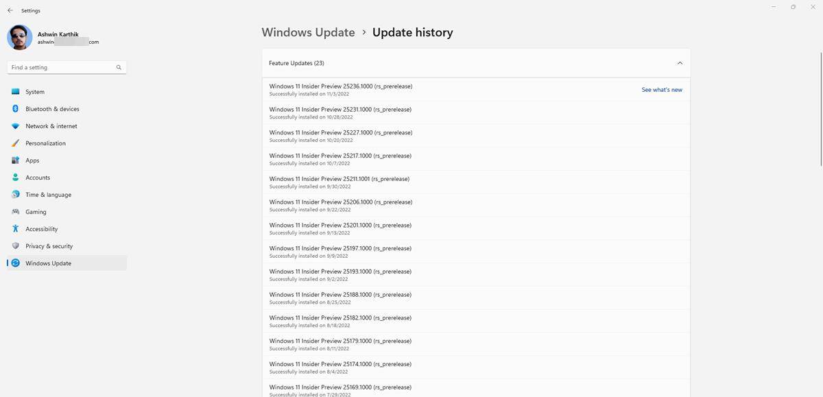 Windows 11 Insider Preview Build 25236 提供了有关如何使用 Windows 搜索的提示