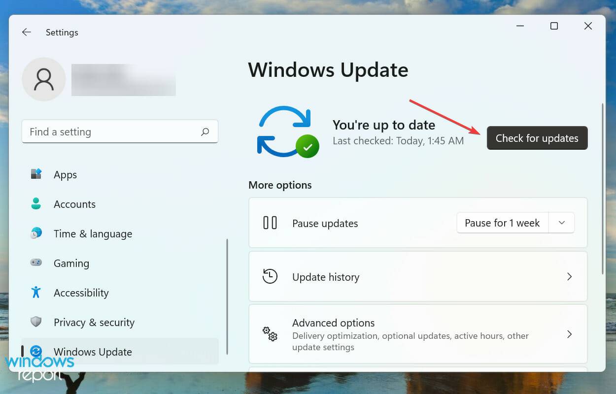 Xbox 应用程序无法在 Windows 11 中启动游戏?尝试这些修复