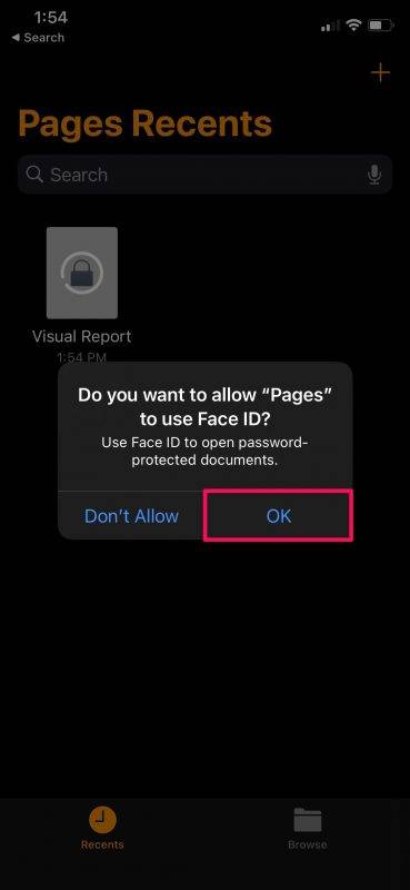 如何在 iPhone 和 iPad 上对页面、主题演讲和数字文档进行密码保护