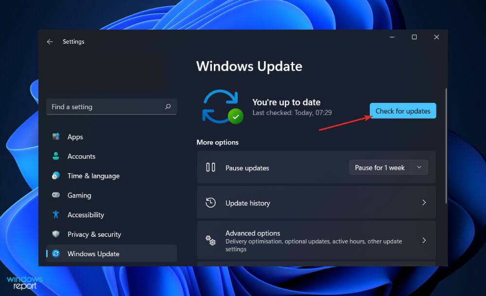 日历小部件在 Windows 11 中不起作用?应用这些修复