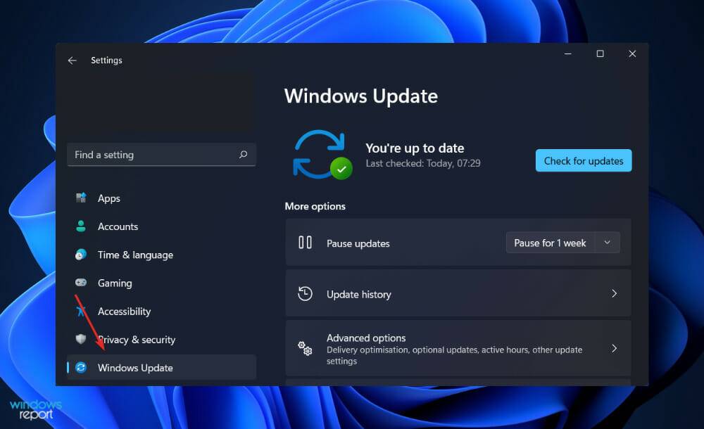 日历小部件在 Windows 11 中不起作用?应用这些修复